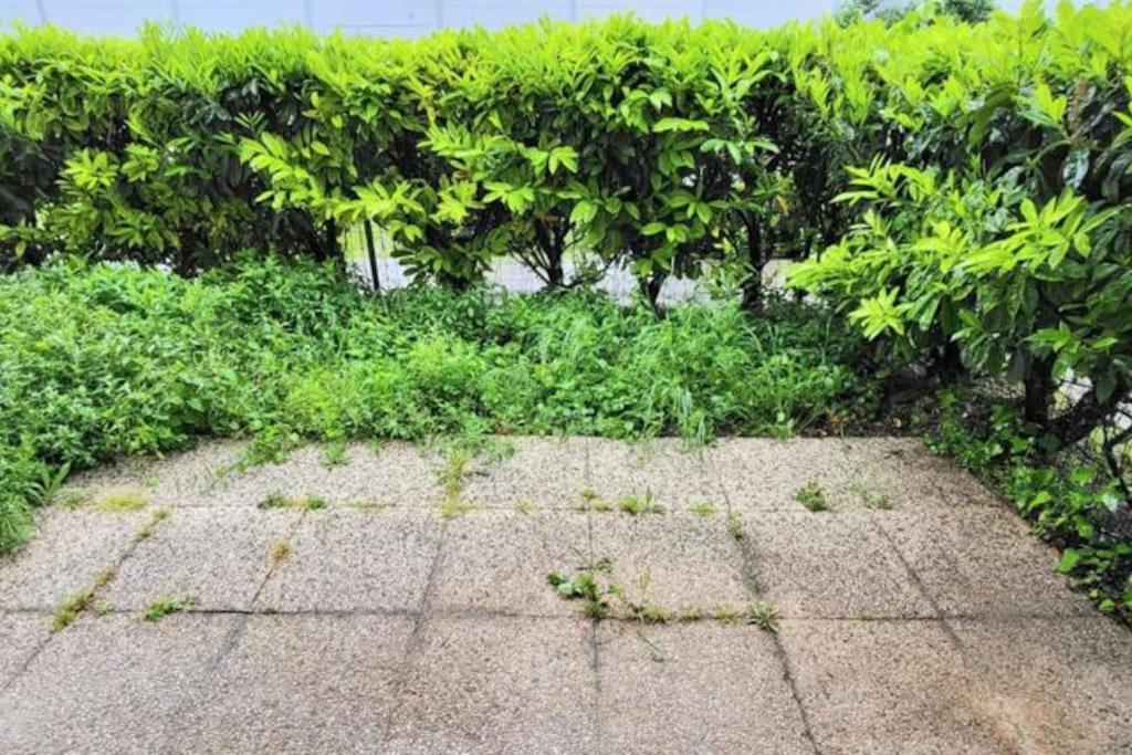 Appartement Cosy Proche Paris لو بورجيه المظهر الخارجي الصورة